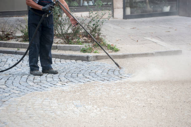 Best Driveway Pressure Washing  in Plainfield, IL