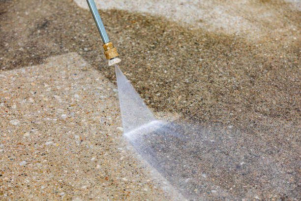 Best Animal Enclosure Cleaning  in Plainfield, IL